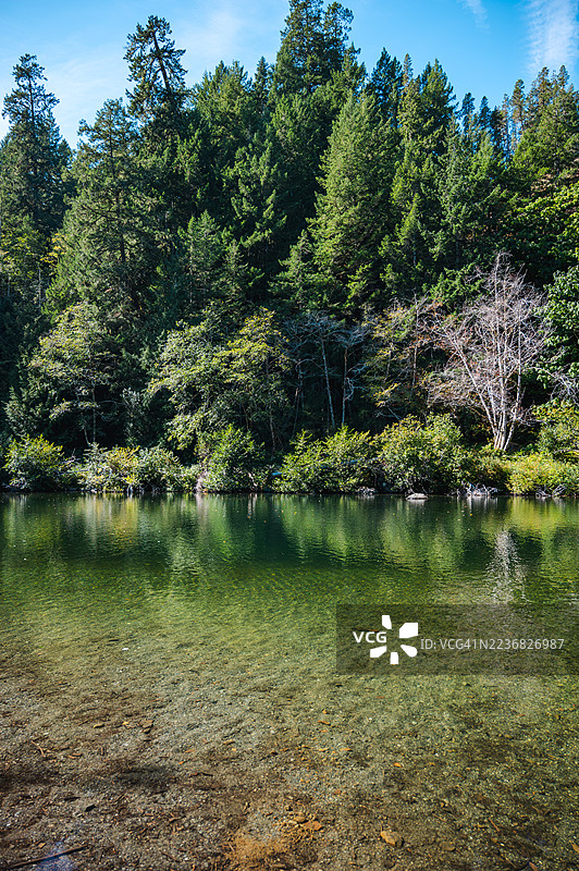 温哥华岛的自然风光图片素材