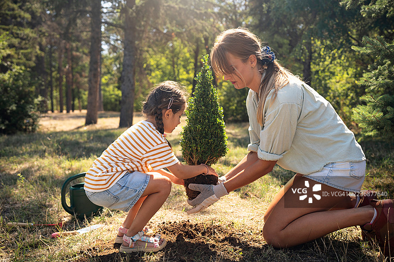 母女在阳光明媚的森林中一起种树图片素材