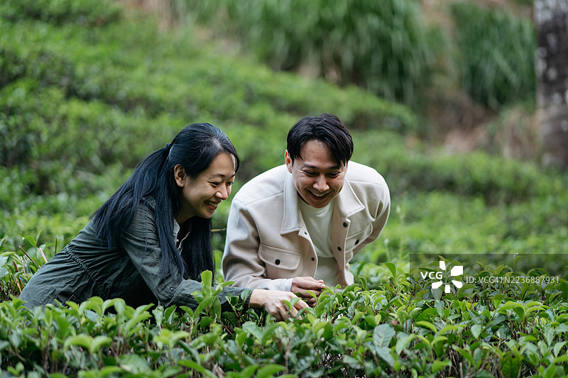 亚洲情侣在斯里兰卡茶园探寻图片素材