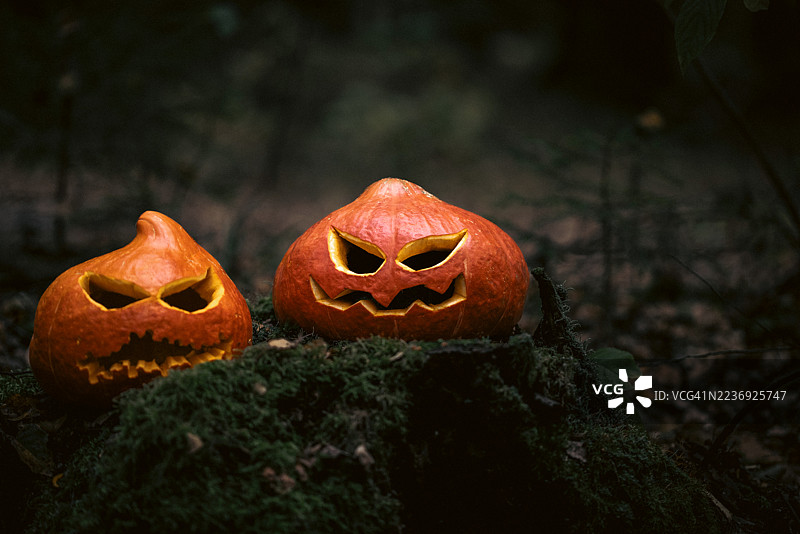 黑暗森林中的丑陋面孔万圣节南瓜。图片素材