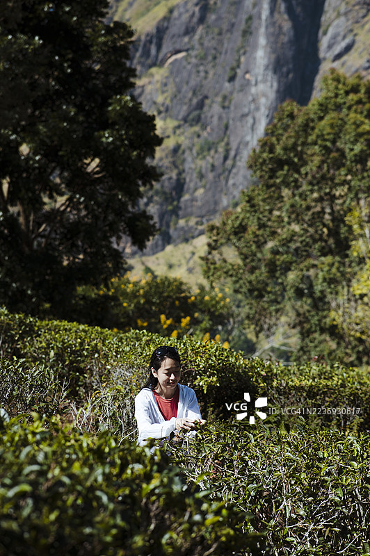 旅行者在自然美景中享受宁静时刻图片素材