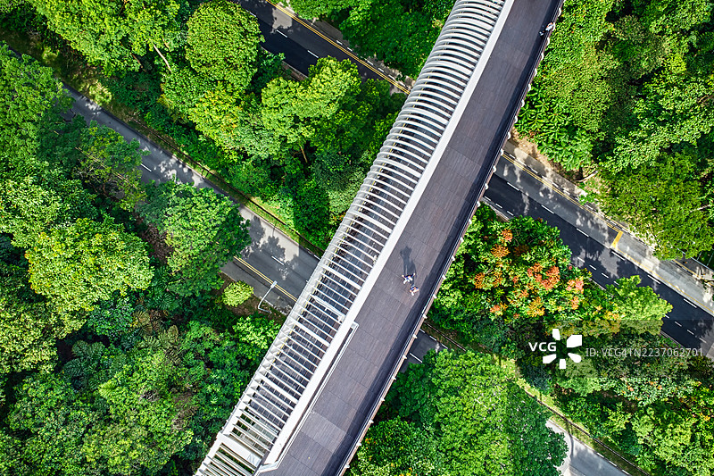 新加坡，亨德森波浪人行桥图片素材