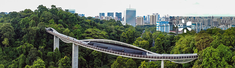新加坡，亨德森波浪人行桥图片素材