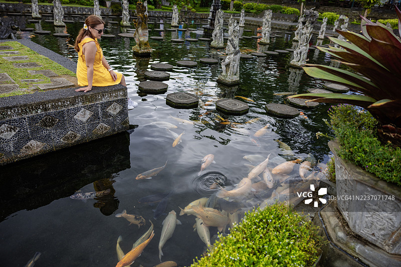女人在池塘里喂美丽的彩色鱼。巴厘岛的提尔塔甘加寺。图片素材