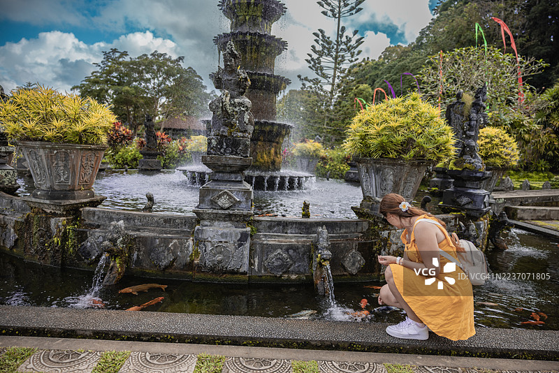 女人在池塘里喂美丽的彩色鱼。巴厘岛的提尔塔甘加寺。图片素材