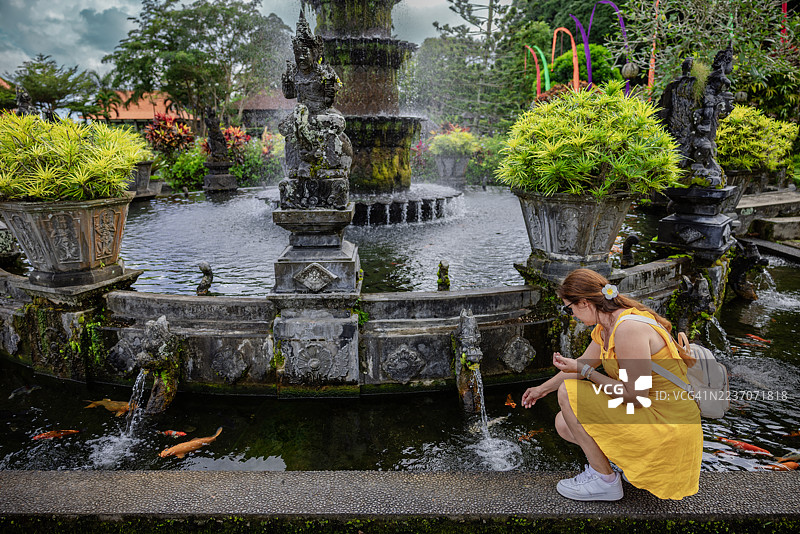 女人在池塘里喂美丽的彩色鱼。巴厘岛的提尔塔甘加寺。图片素材
