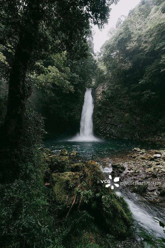 森林中的瀑布，净莲瀑布，伊豆半岛，静冈，日本图片素材
