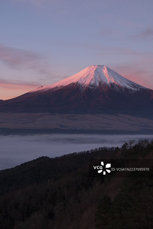 日出时分，粉色云海中的富士山图片素材