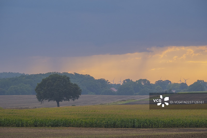 雨中傍晚的胡苏姆、宁堡、下萨克森州、德国风力涡轮机田野景观，风力涡轮机在树后可见图片素材