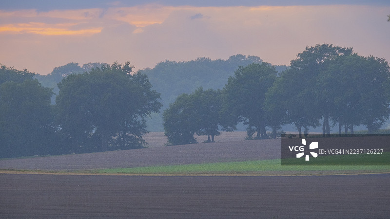 傍晚时分，雨中，从田野望向一排树木，德国下萨克森州尼恩堡县胡苏姆图片素材