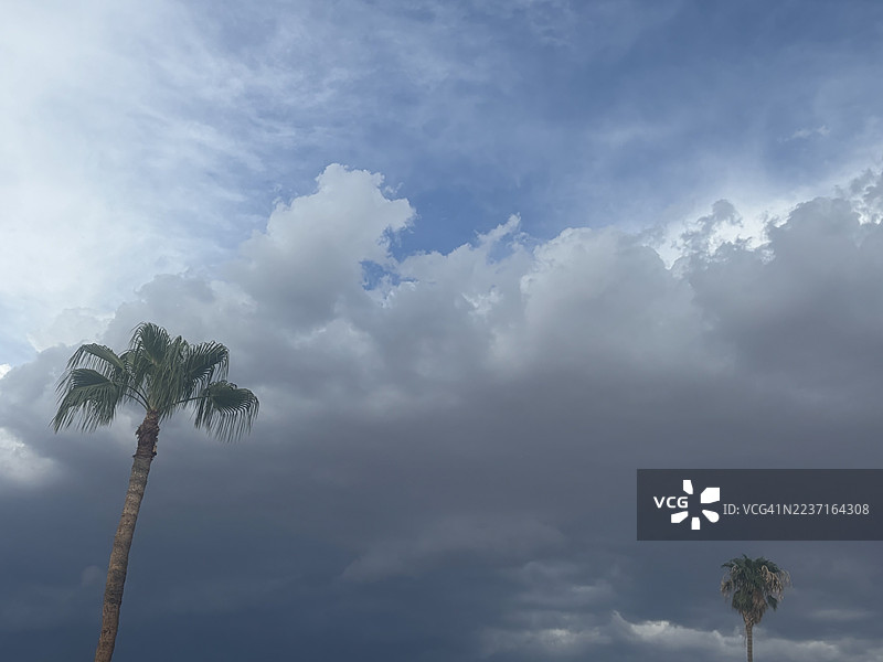 低角度拍摄的棕榈树，伸向布满深色风暴云和一丝蓝天的戏剧性天空。图片素材