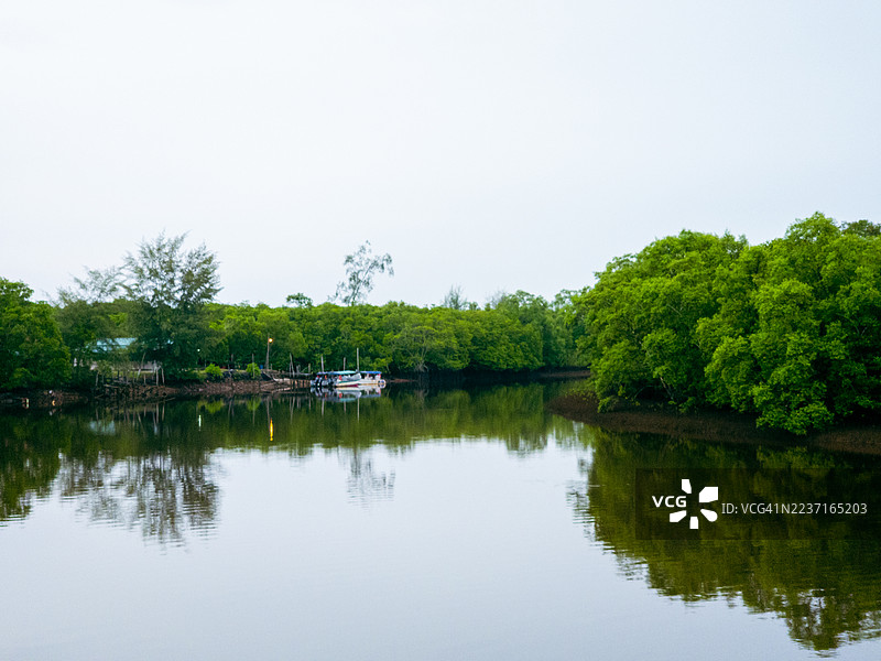 碧空下，河水蜿蜒穿过郁郁葱葱的红树林，景色宁静祥和。图片素材