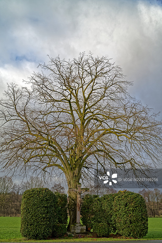 德国瓦伦多夫，Beverstrang，一片绿地上有一棵光秃的树，树上挂着一个十字架，天空多云。图片素材