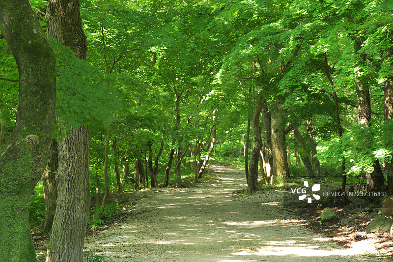 全州，古昌郡，仙游寺图片素材