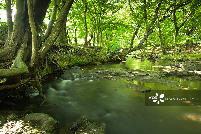 全州，古昌郡，仙游寺图片素材