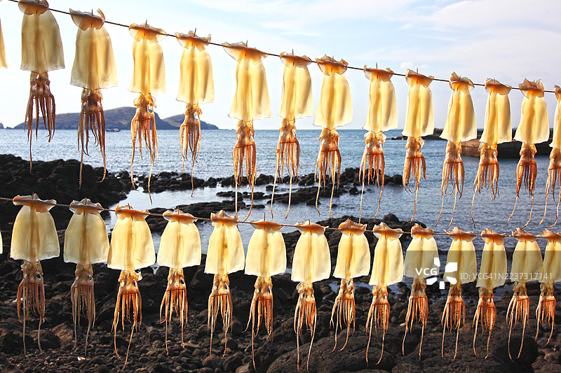 晾干的鱿鱼挂在绳子上图片素材