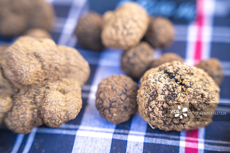 皮埃蒙特的黑松露图片素材