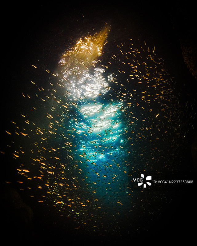 韩国江原道三陟市长虎港的龙洞图片素材