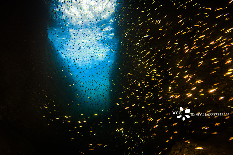 韩国江原道三陟市长虎港的龙洞图片素材