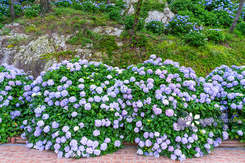 南部面，巨济市，苏谷公园图片素材