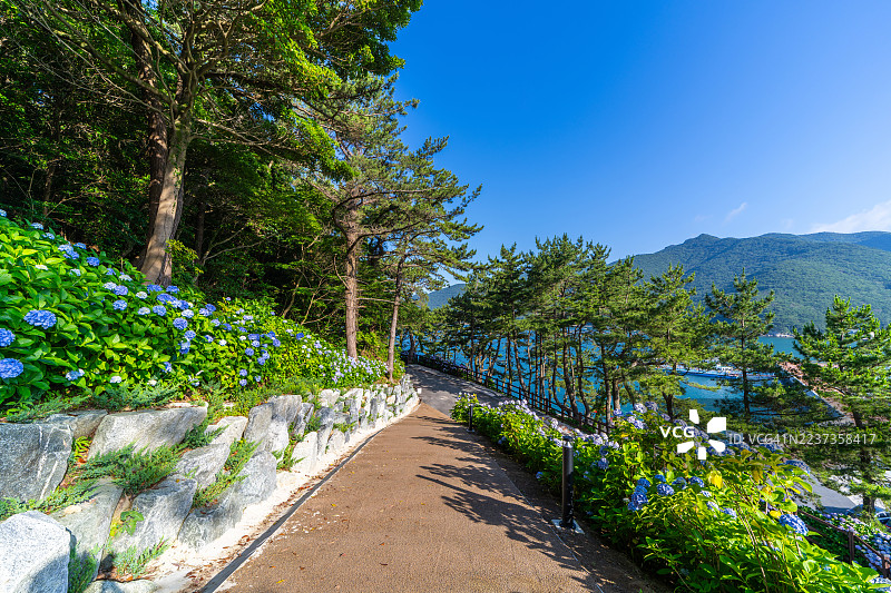 巨济市南部面的Sugok公园步道图片素材