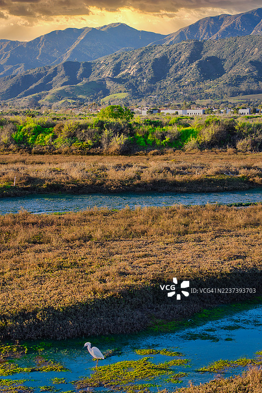 一只雄伟的白鹭优雅地站在宁静的湿地中，背景是郁郁葱葱的山脉和日落时分戏剧般的天空图片素材