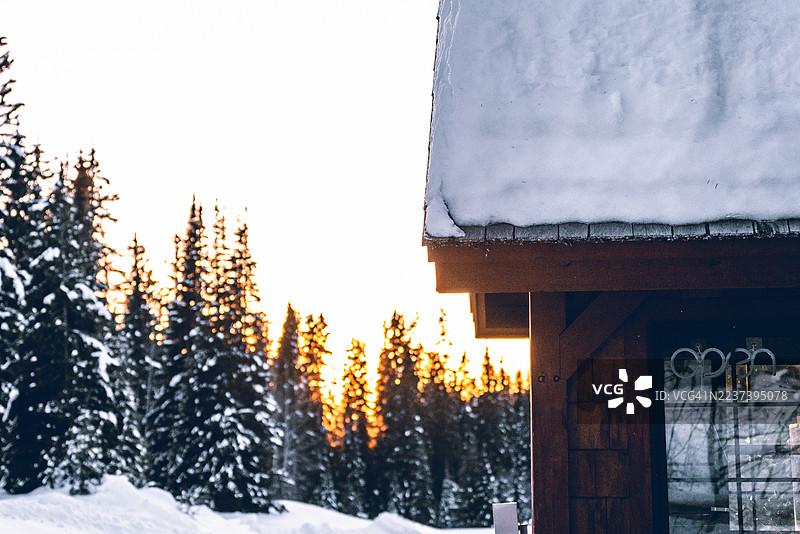 积雪覆盖的小屋屋顶和常绿树木在鲜艳的日落余晖下闪耀，营造出宁静的冬日景象图片素材