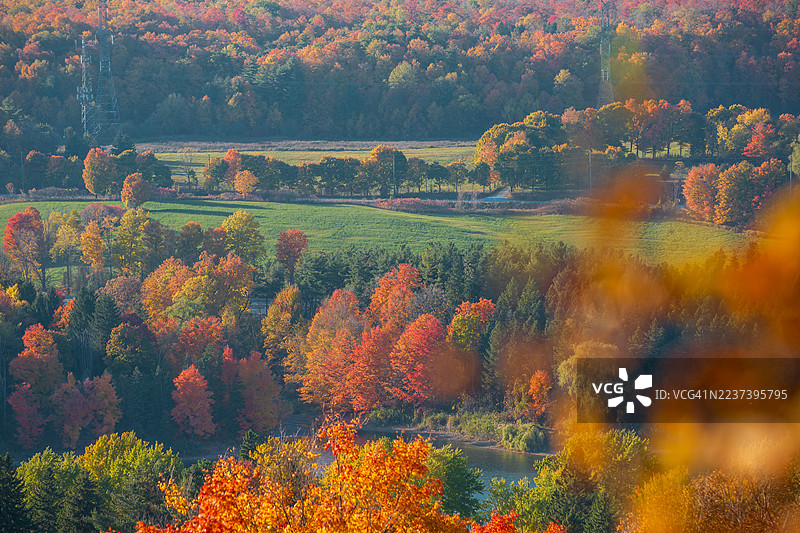 加拿大米尔顿秋季活力森林景观，有起伏的山丘和河流，凯尔索保护区

**Translation Analysis:**
- The original text is in English.
- The translation accurately captures the elements:图片素材