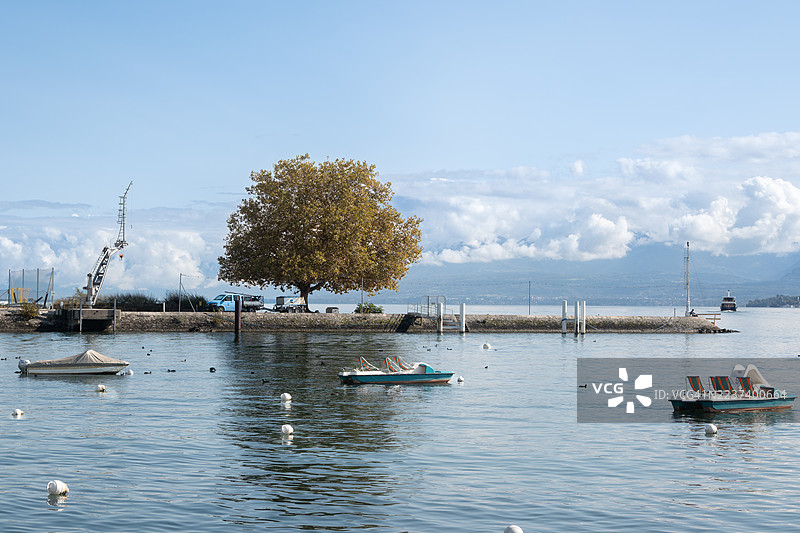 瑞士尼翁，蓝天白云下，宁静的湖面风光，湖中有船，岸边有大树。图片素材