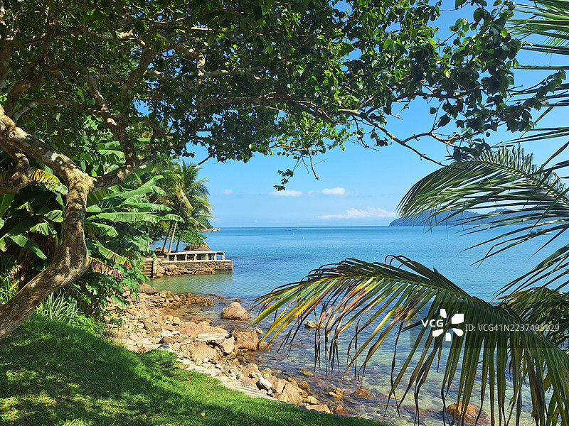 茂密的热带植物构成了一幅风景画，画面中是晴朗天空下的平静蓝色大海，一条小码头延伸入水中。图片素材