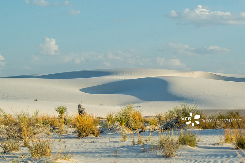 白沙国家公园的风景，有连绵的沙丘和沙漠植物，蓝天下的景色图片素材