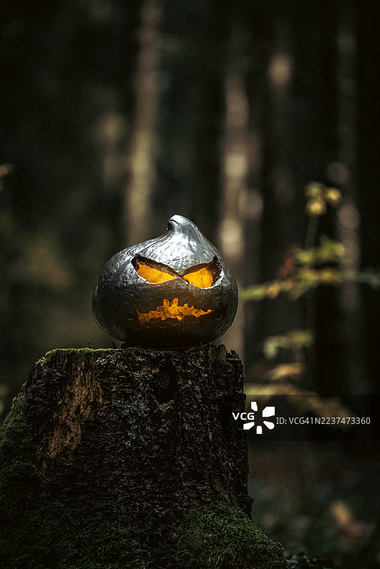 黑暗的万圣节南瓜灯，橙色发光的眼睛在雾气弥漫的森林中图片素材