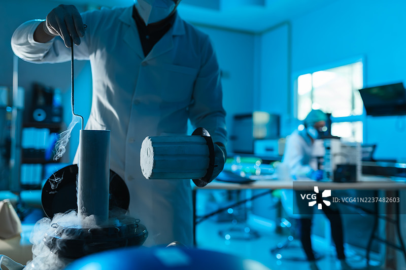 兽医男科学实验室技术员从液氮中取出精液储存管，使用低温储存罐进行冷冻保存和质量控制，以支持人工授精计划。图片素材