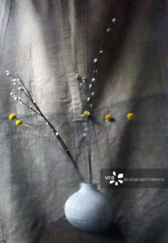 静物花卉图片素材