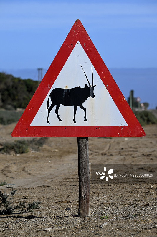 路边警示牌：注意羚羊（Oryx gazella），位于纳米比亚卡拉斯区奥兰治蒙德附近的钻石禁区。图片素材