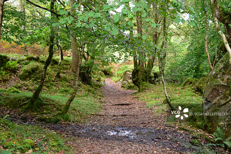 林间河畔的埃斯克代尔图片素材