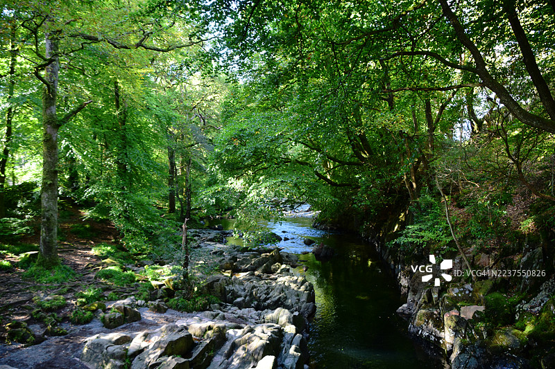河边树林中的埃斯克代尔图片素材