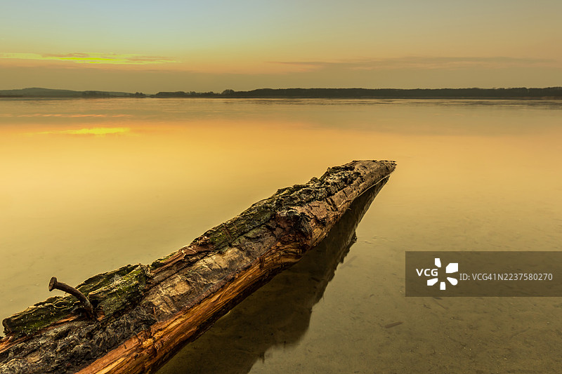 湖中日落时分的树干上钉着生锈的钉子图片素材