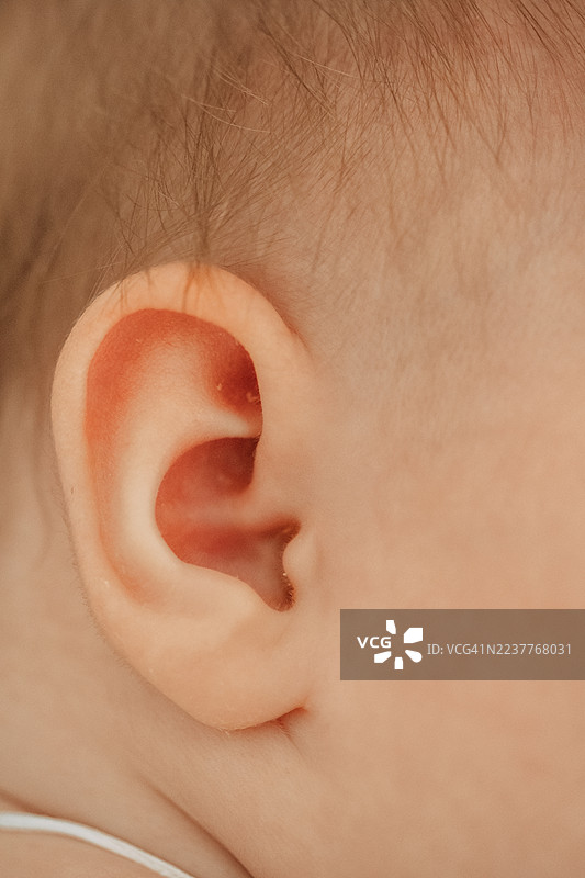 新生儿耳朵特写，听力概念图片素材