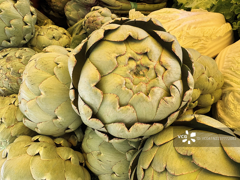 农贸市场摊位上的新鲜有机蔬菜。当地市场上色彩缤纷的农场新鲜蔬菜展示。农贸市场上的健康有机农产品。绿色和紫色的朝鲜蓟。图片素材