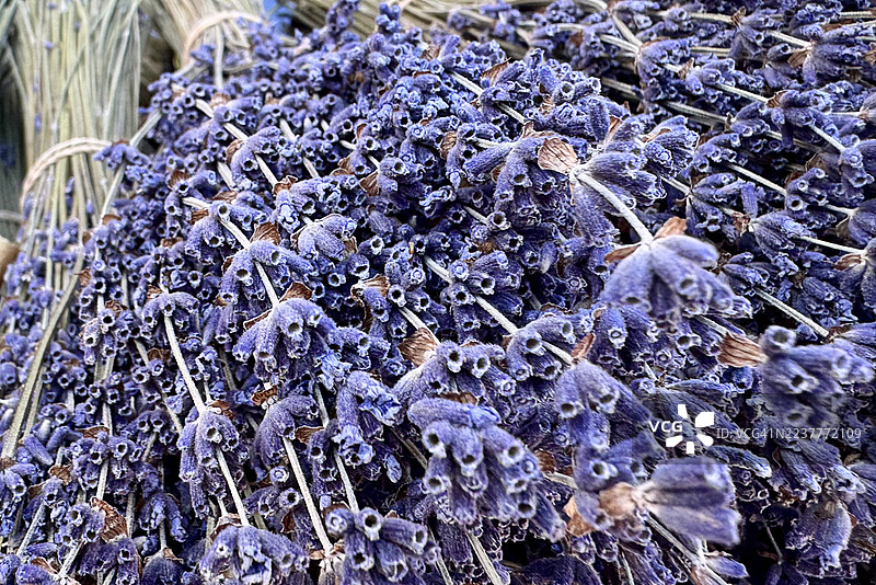 普罗旺斯农贸市场上的一束新鲜薰衣草。农贸市场摊位上的新鲜有机蔬菜和花卉。当地市场上色彩缤纷的农场新鲜蔬菜展示。图片素材