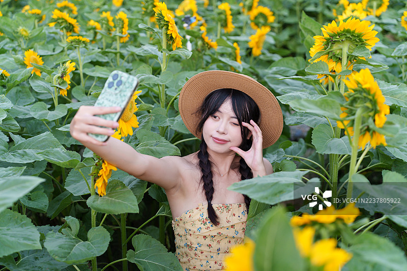 年轻女子在向日葵种植园自拍图片素材