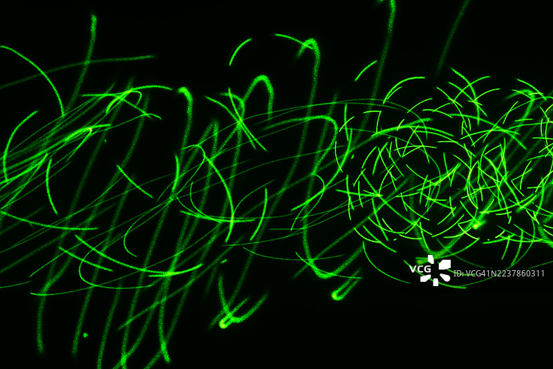 激光灯发光的滴答图图案——由完美的几何曲线和循环组成的复杂网络。图片素材