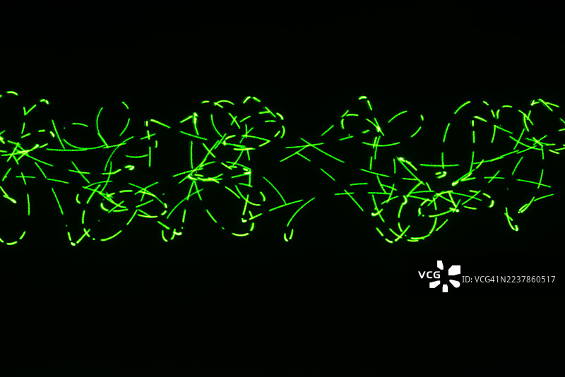 激光灯发光的万花筒图案——复杂完美的几何曲线和环线网络。图片素材