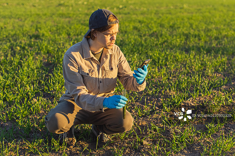 农学家在试管中取自田地的土壤样本。土壤分析图片素材