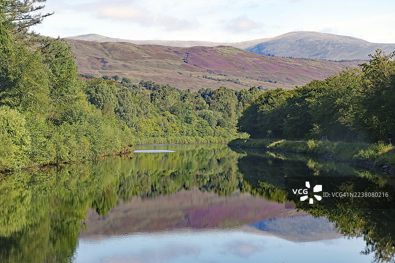宁静的河流环绕着森林,河面倒映着树木繁茂的山丘、石楠花、苏格兰大运河、威廉堡、苏格兰、英国图片素材