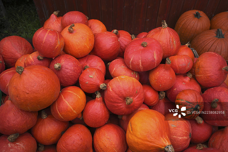红色的北海道南瓜、南瓜、摊位、市场、斯图加特、巴登-符腾堡州、德国图片素材