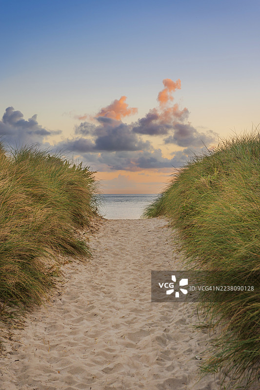 晨光下的沙丘小径，旅行的冲动，假期，北海，叙尔特图片素材