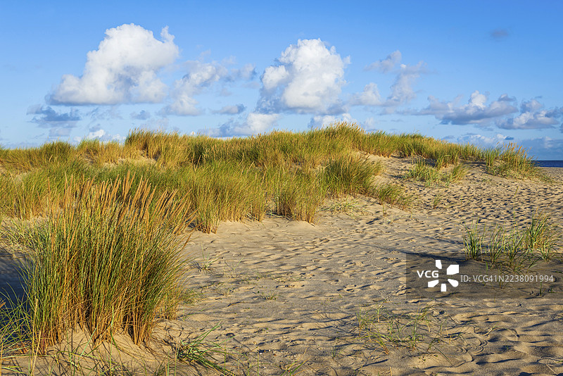 埃伦根海滩宁静的沙滩，阳光明媚的早晨，位于叙尔特岛图片素材