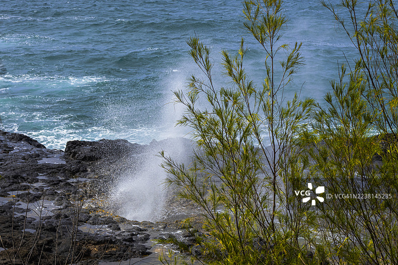 2025年7月11日 斯普廷角公园 - 科洛亚遗产步道 - 可爱岛 045图片素材